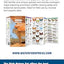 Utah Nature Set: Field Guides to Wildlife, Birds, Trees & Wildflowers of Utah (Nature Observation North America)