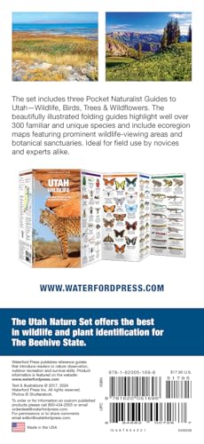 Utah Nature Set: Field Guides to Wildlife, Birds, Trees & Wildflowers of Utah (Nature Observation North America)