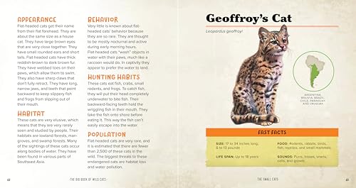 The Big Book of Wild Cats: Fun Animal Facts for Kids