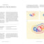 Drawing Is for Everyone: Simple Lessons to Make Your Creativ