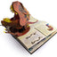 Encyclopedia Prehistorica by Reinhart, Matthew