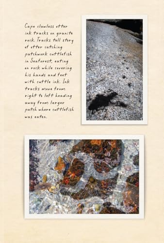 Amphibious Soul: Finding the Wild in a Tame World-A Memoir of Nature's Healing Power
