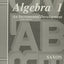 Saxon Algebra 1 Tests and Answer Key Third Edition by John H
