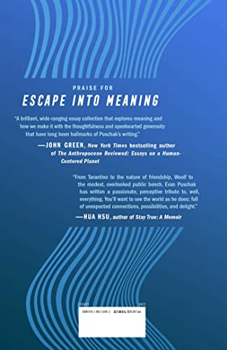 Escape into Meaning: Essays on Superman, Public Benches, and More