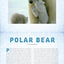 Polar: A Photicular Book