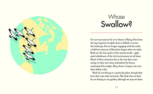 Mindful Thoughts for Birdwatchers: Finding awareness in nature