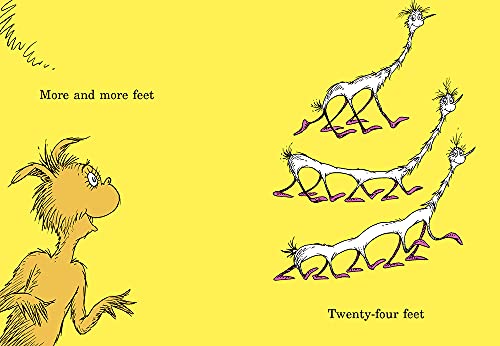 The Foot Book
