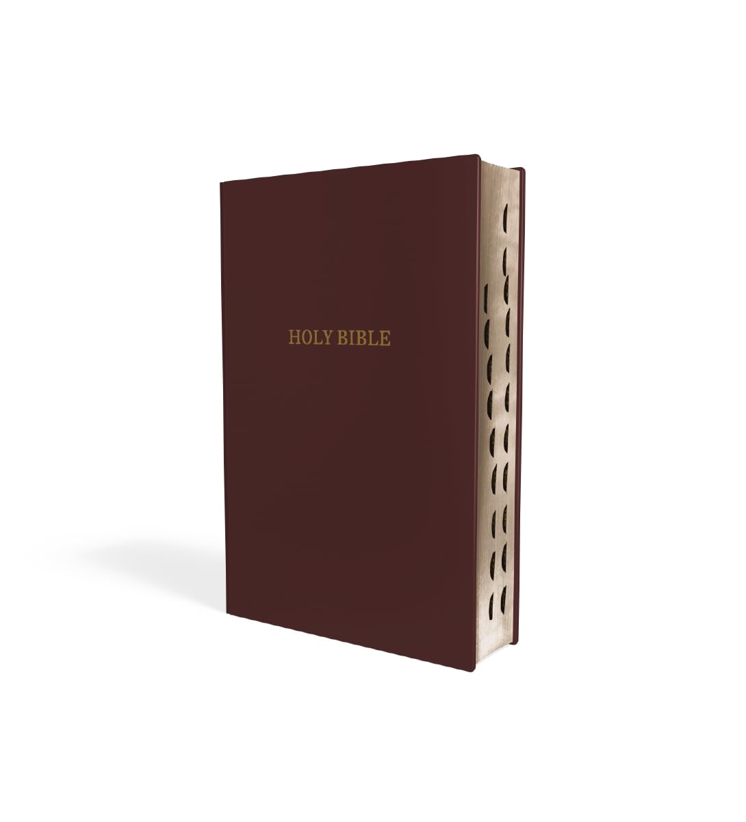 NIV, Reference Bible, Giant Print, Leather-Look, Burgundy, Red Letter, Thumb Indexed, Comfort Print