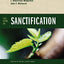 Five Views on Sanctification