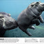 The Animal Book: A Visual Encyclopedia of Life on Earth (DK