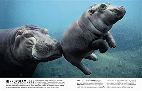 The Animal Book: A Visual Encyclopedia of Life on Earth (DK