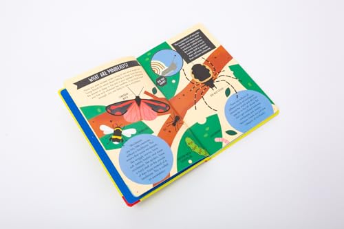 National Trust: Out and About Minibeast Explorer: A children's guide to over 60 different minibeasts