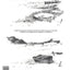 Drawing Landscapes in Pencil