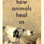 How Animals Heal Us