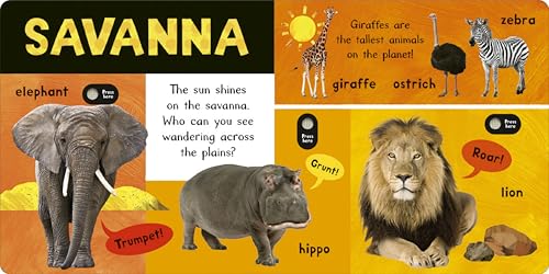 Noisy Animal World: My First Animal Sound Book