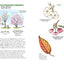 The Tree Book for Kids and Their Grown-Ups