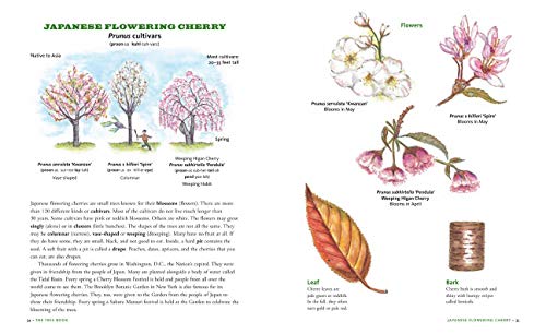 The Tree Book for Kids and Their Grown-Ups