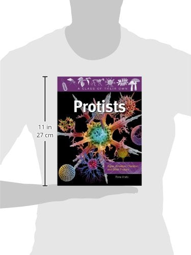 Protists: Algae, Amoebas, Plankton, and Other Protists (A Class of Their Own)
