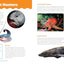 Ocean Animals and Their Ecosystems: A Nature Reference Book for Kids