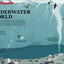 Antarctica: A Continent of Wonder