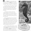 Hi-Lo Nonfiction Passages for Struggling Readers: Grades 4-5
