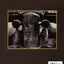 Haunter of Ruins: The Photography of Clarence John Laughlin