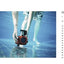 Lomo Life: The Future is Analog (2 vol set)