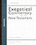 Romans (Zondervan Exegetical Commentary on the New Testament)