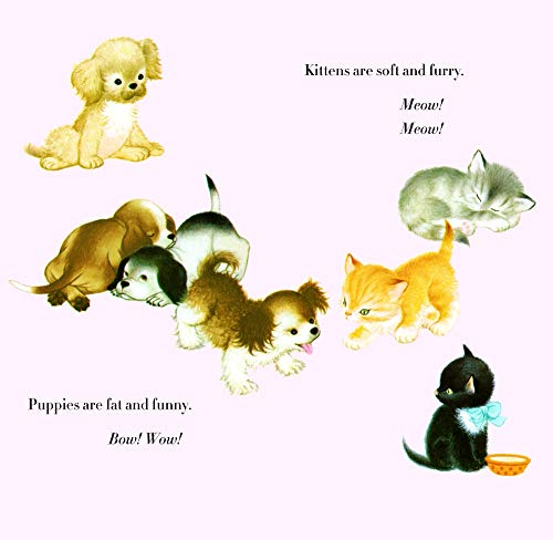 Baby Animals