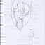 Dog Anatomy: A Coloring Atlas by Robert Kainer