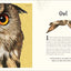 An Anthology of Intriguing Animals: Discover the Fascinating Truths of the Animal Kingdom