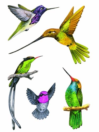 Hummingbirds Stickers (Dover Little Activity Books: Animals)