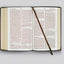 ESV Large Print Personal Size Bible (Black)