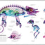 Zoology: Inside the Secret World of Animals (DK Secret World