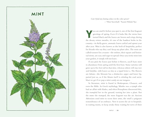 Bite by Bite: Nourishments and Jamborees