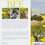 Next Time You See a Bee
