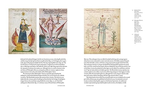 The Alchemical Feminine: Women, Gender and Sexuality in Alchemical Images