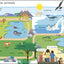English for Everyone Junior: Beginner's Course (DK English for Everyone Junior)
