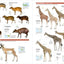 All the Mammals of the World