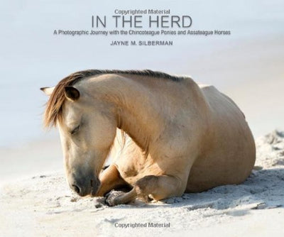 In the Herd: A Photographic Journey with the Chincoteague Ponies and Assateague Horses