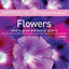 HarperCollins Practical Gardener: Flowers: What to Grow and How to Grow It