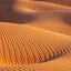 Sierra Club Engagement Calendar 2021