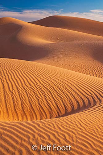 Sierra Club Engagement Calendar 2021