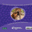 Ruuxa & Raina: A Cheetah and Dog's True Story of Friendship and Miracles