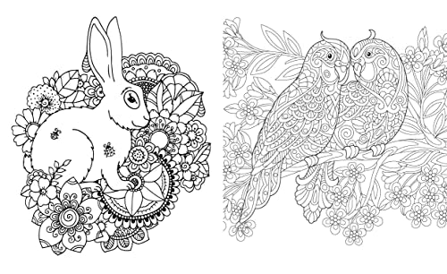 Posh Glitter Coloring Book Secret Garden by Andrews McMeel P