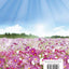 Daily Gratitude (Deluxe Daily Prayer Books)
