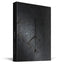 Bloodborne Collector's Edition Strategy Guide