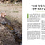 Wild and Free Nature: 25 Outdoor Adventures for Kids to Explore, Discover, and Awaken Their Curiosity