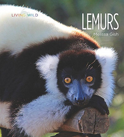 Living Wild: Lemurs