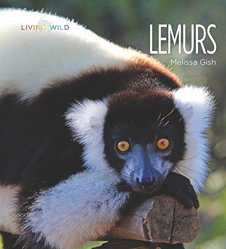Living Wild: Lemurs
